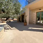 The Olive Grove * Kardamyli