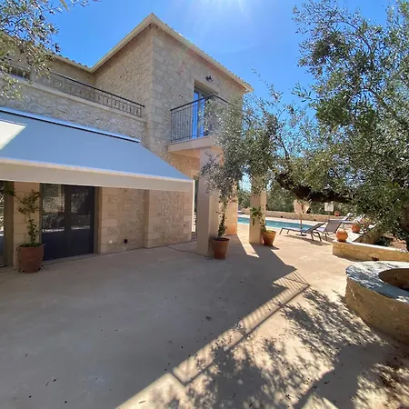 The Olive Grove