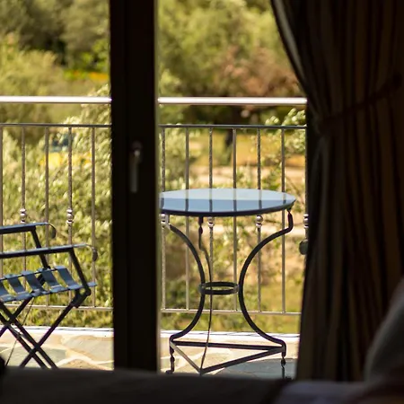 The Olive Grove