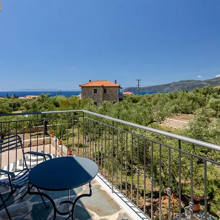 The Olive Grove