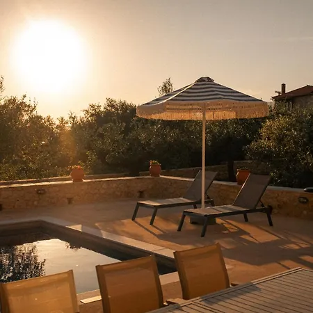 The Olive Grove Kardamyli