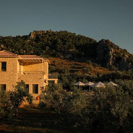 The Olive Grove Villa