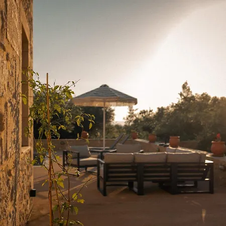 The Olive Grove * Kardamyli