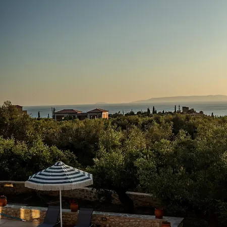 The Olive Grove Βίλα