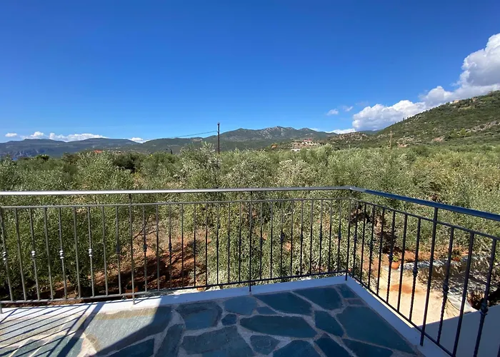 The Olive Grove Villa *