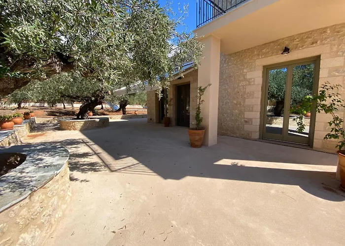 The Olive Grove * Kardhamili