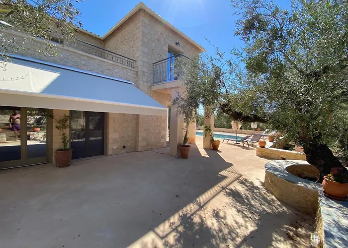 The Olive Grove